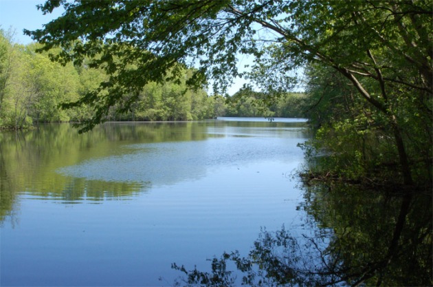 Dow Brook Reservoir, Ipswich
