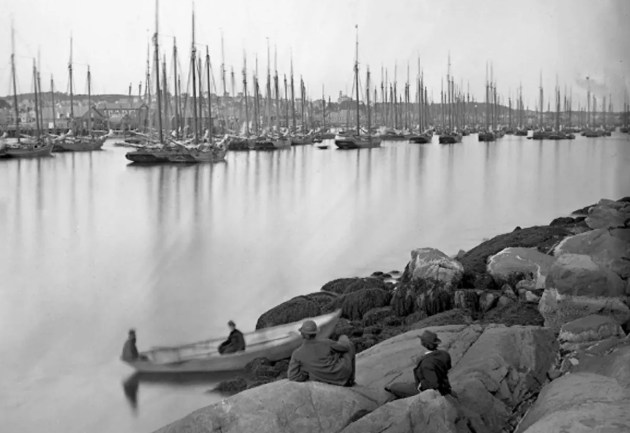 Gloucester Harbor