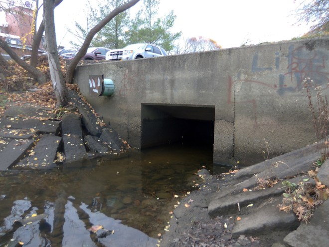 Farley Brook dumps into the Ipswich River behind Market Street