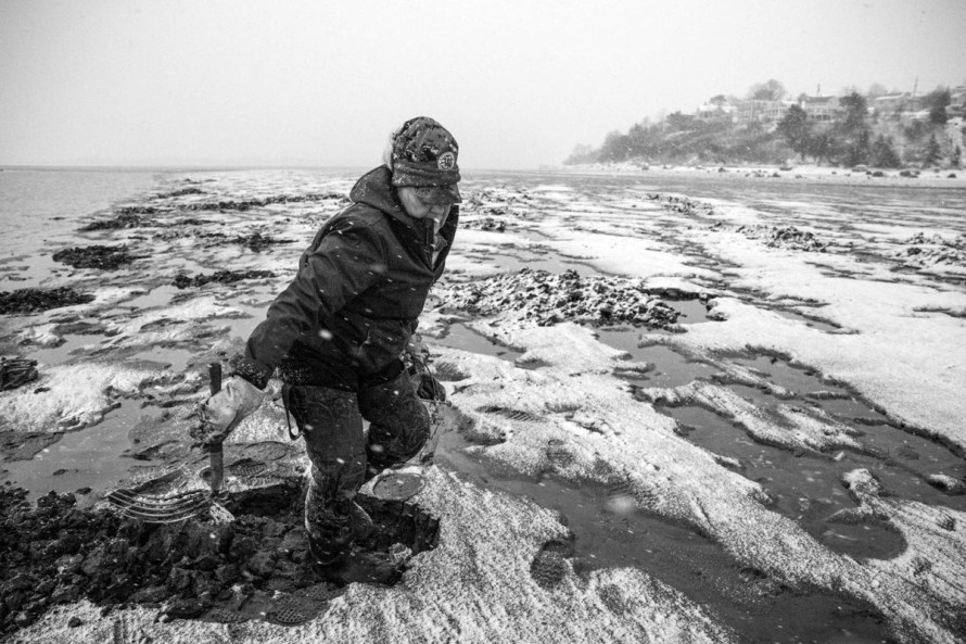 Ipswich clammer Brenda Turne