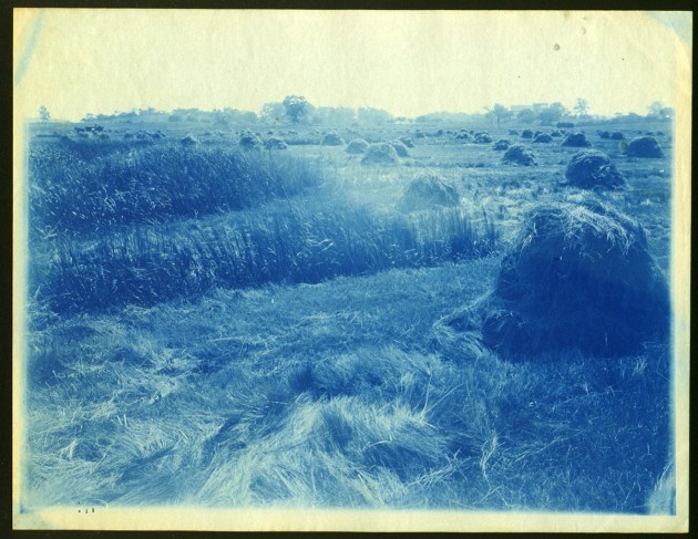 meadow and hay cyanotype by Arthur Wesley Dow