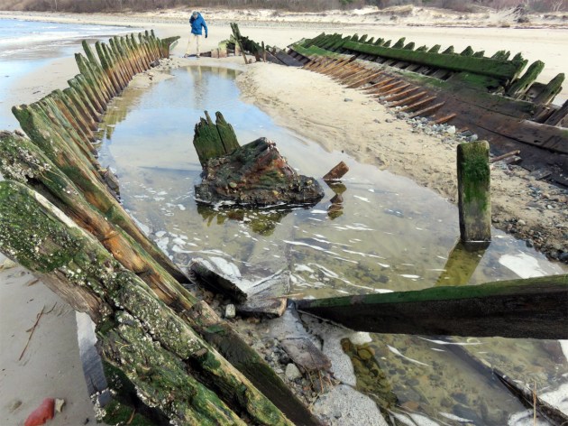 ada-damon-april-2020-maureen-smith