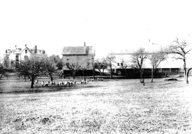 Perley Farm, 387 Linebrook Rd. in a photo dated about 1880. The smaller building in the middle of the photo was torn down and the large barn on the right was extended over its footprint.