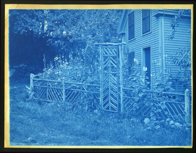 Dow's garden cyanotype by Arthur Wesley Dow