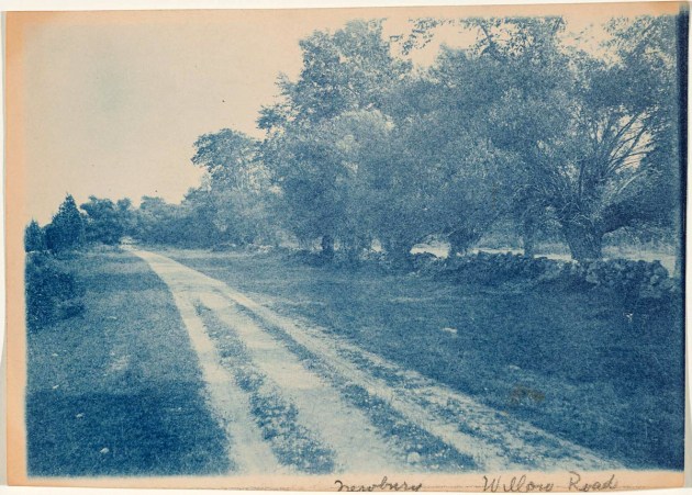 Willow Road cyanotype by Arthur Wesley Dow