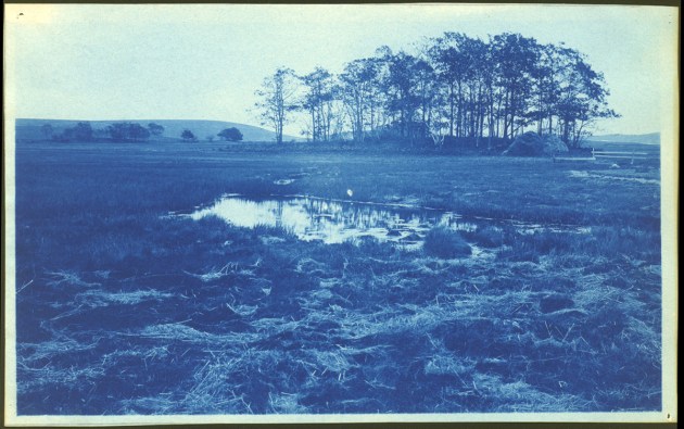 Hay island and hill cyanotype by Arthur Wesley Dow