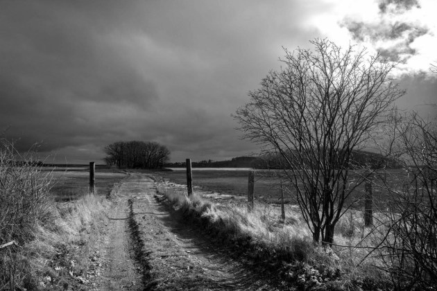 Road to the clamflats