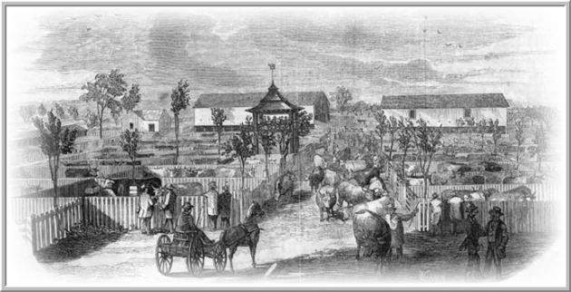 Brighton+Cattle+Market+1[1]