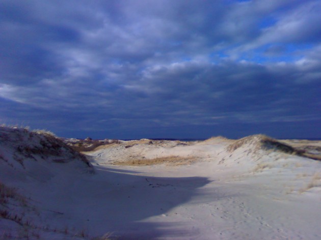 The far end of Castle Neck is devoid of trees. The valleys in the dunes provide shelter and warmth even on a cold day.