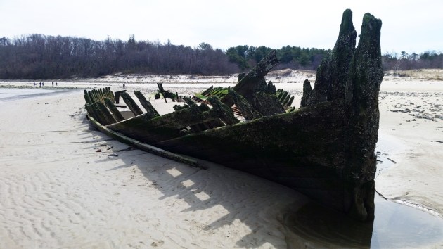 ada-k-damon-starboard