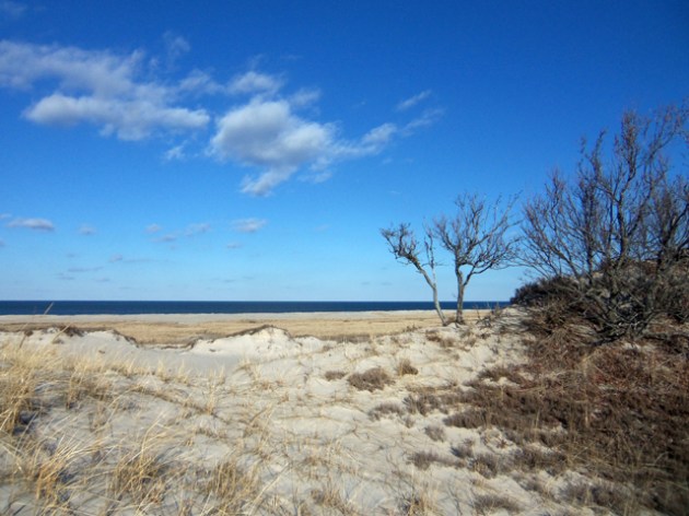Looking back at the beach as we started our walk on 