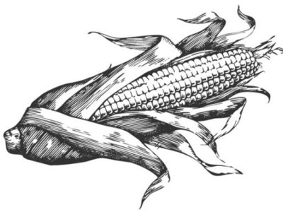 What Our Ancestors&nbsp;Ate