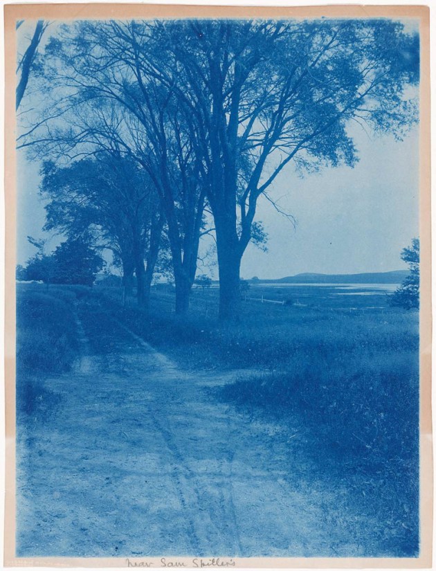 Spiller's Lane cyanotype by Arthur Wesley Dow