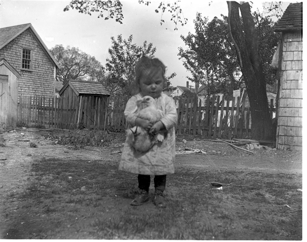 early photos from Ipswich Massachusetts