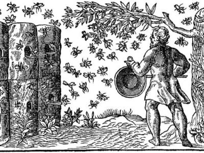 John Eales, Beehive&nbsp;Maker