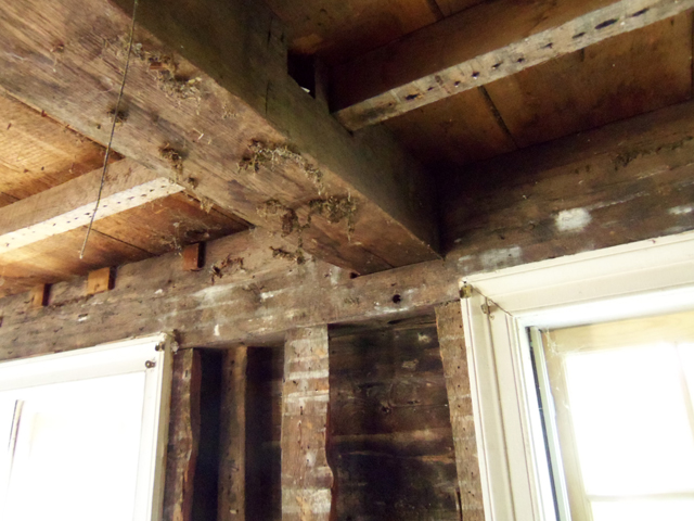 First floor ceiling beams