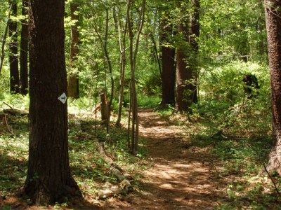 Dow Brook and Bull&nbsp;Brook