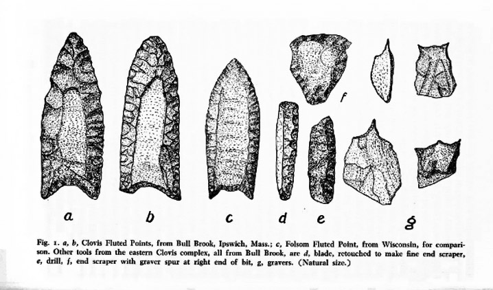Stone points from the Bull Brook PaleoIndian site in Ipswich MA