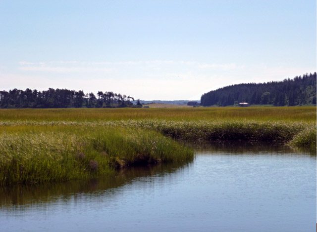 Photo by Gavin Keenan, Ipswich MA