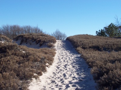 After entering the dunes from the right side of the Crane Beach parking lot, take a right at the first trail fork. This is one of several climbs you'll encounter along the way.
