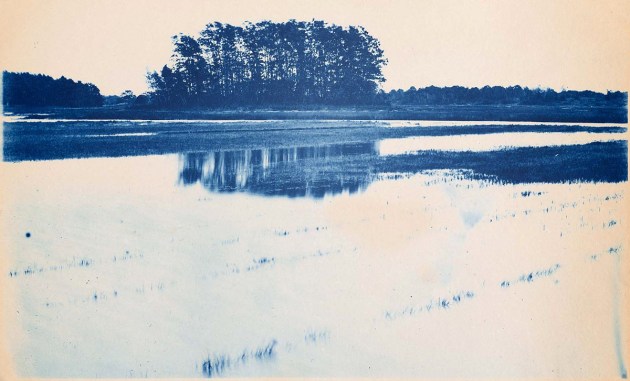 Salt Marsh island cyanotype by Arthur Wesley Dow