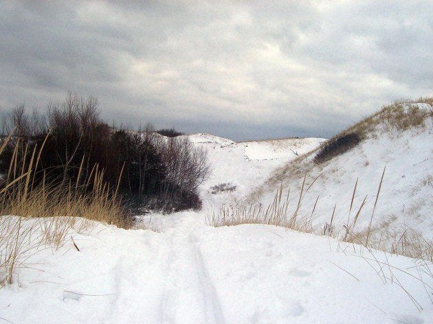 Cross-country skiing in the Castle Neck dunes, Ipswich.