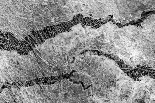 Ice in the clam flats