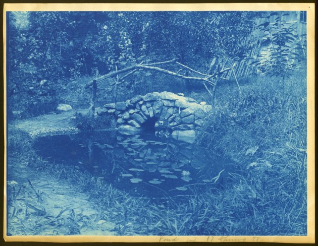 Lilly pond and bridge cyanotype by Arthur Wesley Dow