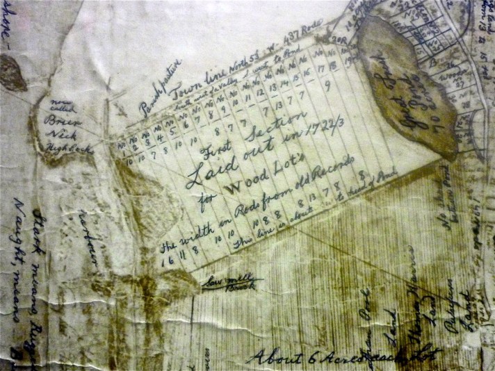 New England wood lots