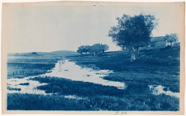Barn and tree cyanotype by Arthur Wesley Dow