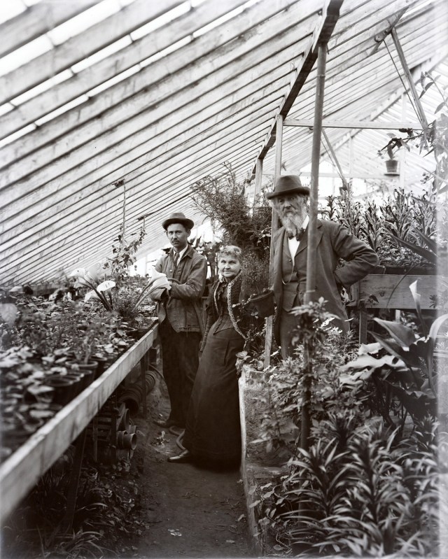 Fewkes and Darling Greenhouse, County Road Ipswich MA