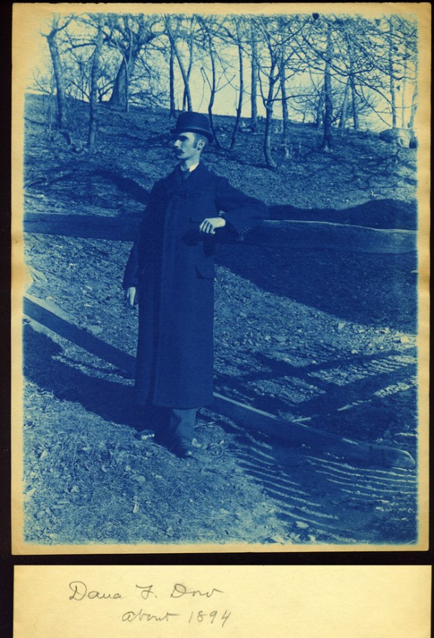 Dana Dow cyanotype by Arthur Wesley Dow