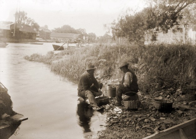 early photos from Ipswich Massachusetts, shucking clams