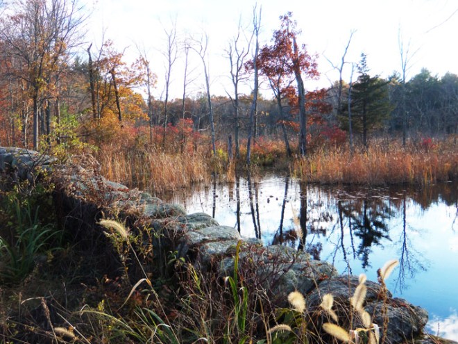 Ipswich River Wildlife Sanctuary stone bridge