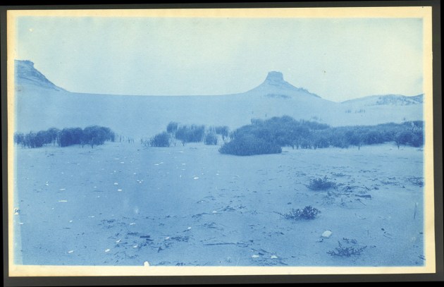 Ipswich dunes cyanotype by Arthur Wesley Dow