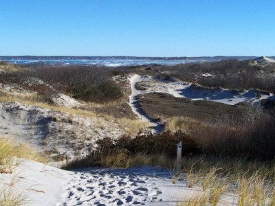 Winter Walks in the Dunes at Castle&nbsp;Neck