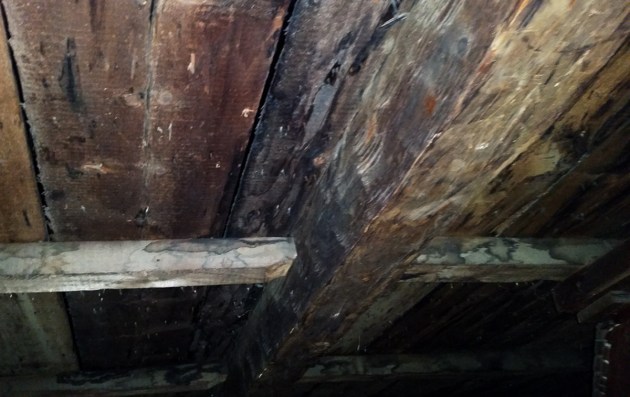 Purlins in White Horse Inn in Ipswich