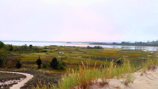View of Essex Bay from Wigwam Hill