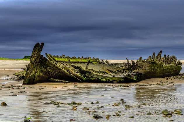 ada-k-damon-Fabiano-Santos