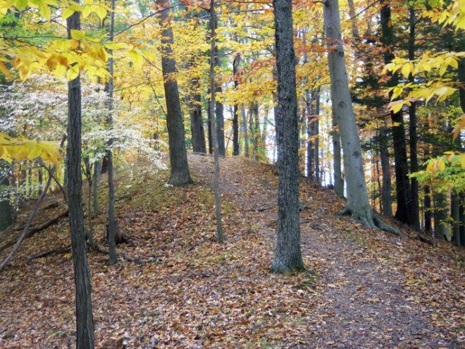 Ipswich River Wildlife Sanctuary esker trail