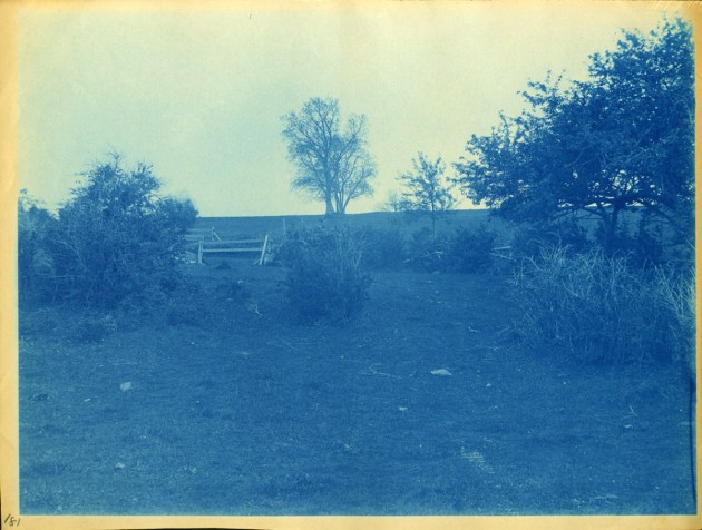 field with fence cyanotype by Arthur Wesley Dow