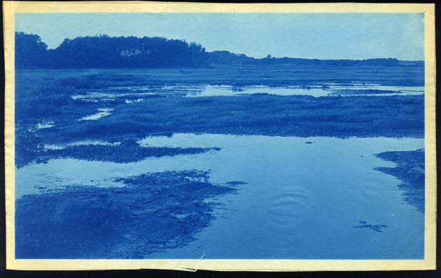 Ripple in the water cyanotype by Arthur Wesley Dow