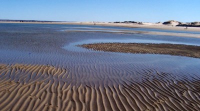Crane Beach, with dunes in the background