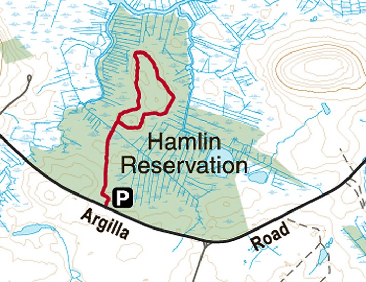 hamlin_resrevation_ecta