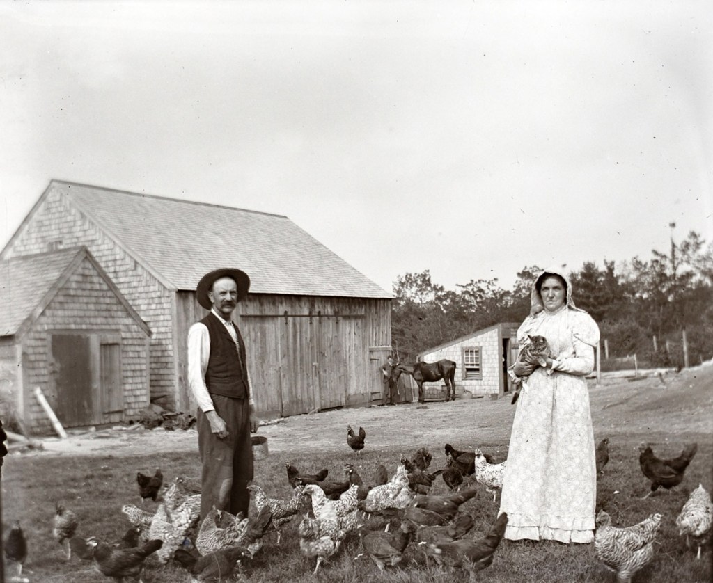 early photos from Ipswich Massachusetts