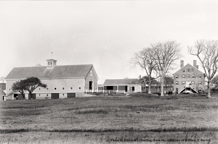 Photo of the Ipswich Town Farm by George Dexter