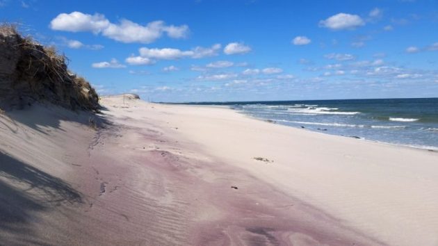 Purple sand at Crane Beach.