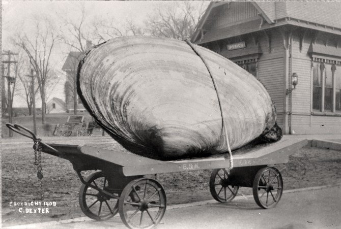 Hoax photo by Ipswich photographer George Dexter, 1908