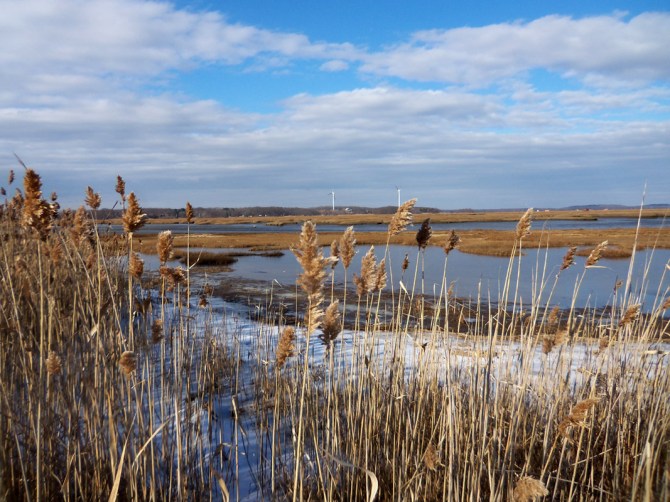 Ipswich wind turbines