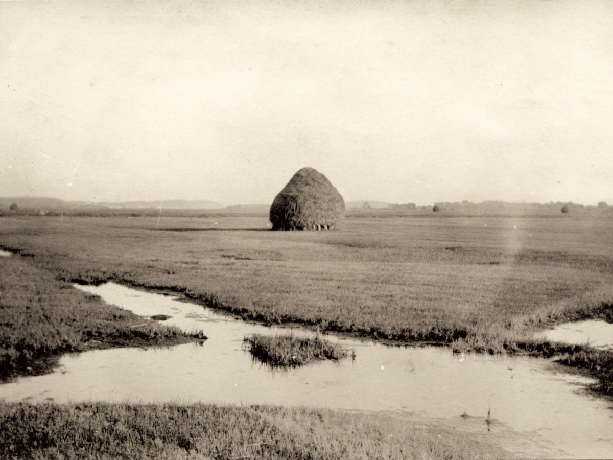 Gathering Salt Marsh&nbsp;Hay